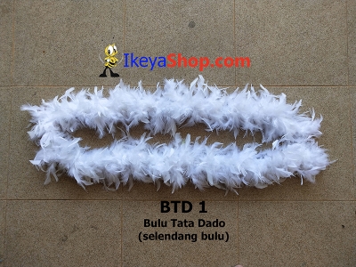 BTD 1  large2